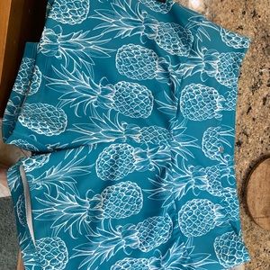 Love fitness pineapple shorts (teal-medium)